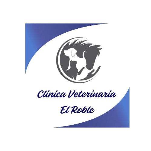 EL ROBLE actualizado