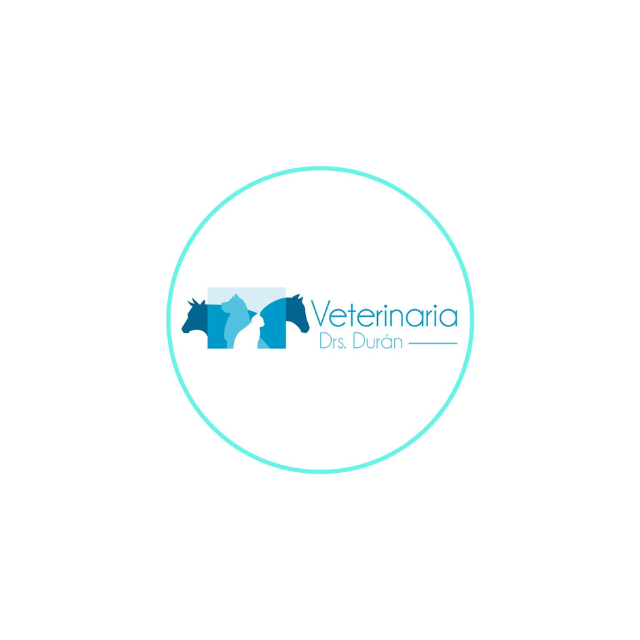 logo 22
